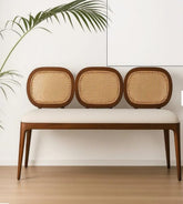 Sheesham wood three seater bench with cane backrest and cushioned seat