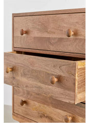 Mango wood wooden nobe chest